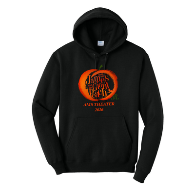 Sudadera con capucha para adultos del drama Foxboro Ahern (PC78H)
