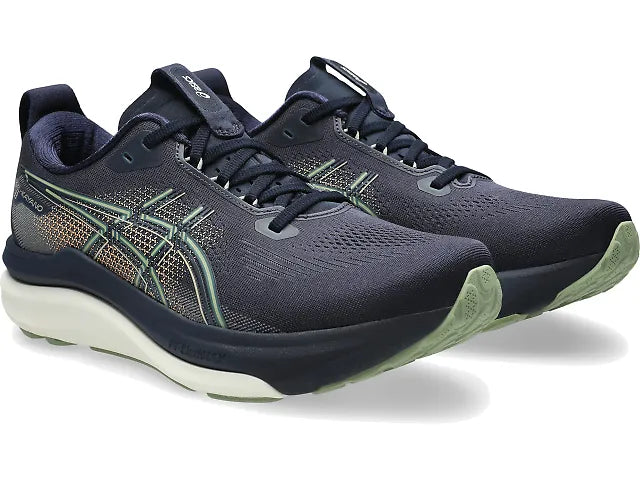 Asics Gel Kayano
