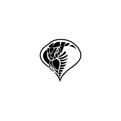 Club de voleibol Cobra