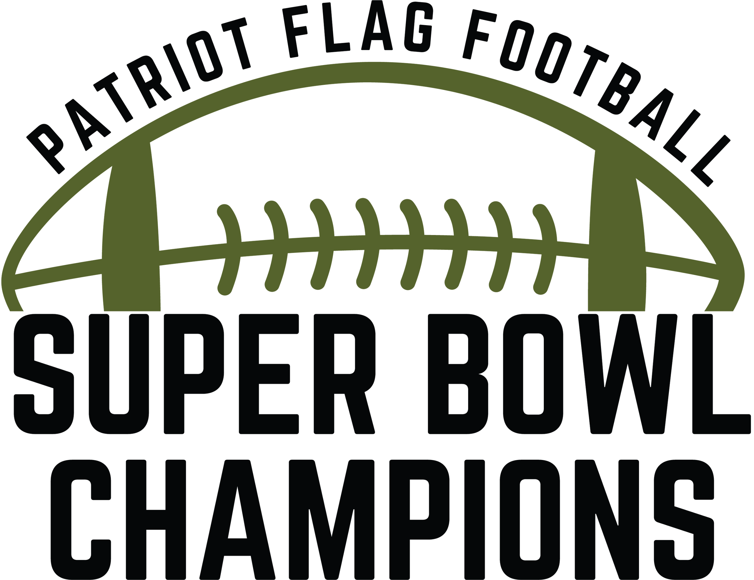 Dolphins Super Bowl Champs