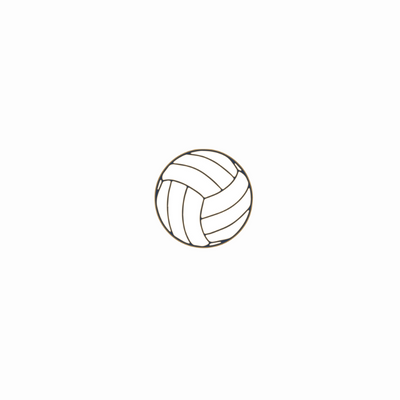 Voleibol de Foxboro 
