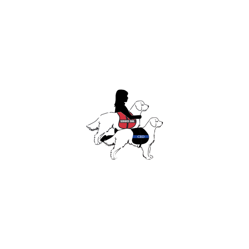 GOFI Dog The Run House