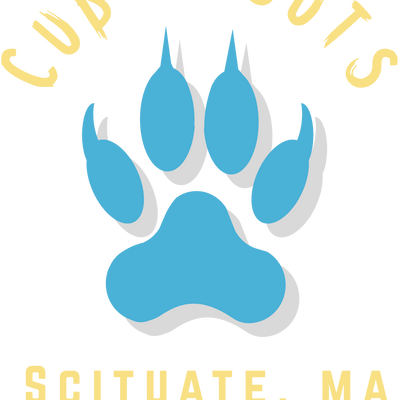 Grupo de Scouts de Scituate 7 Clase B