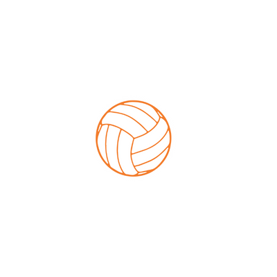 Voleibol de Newton South