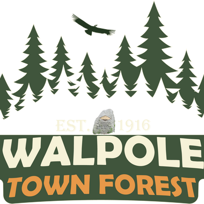 Bosque de la ciudad de Walpole