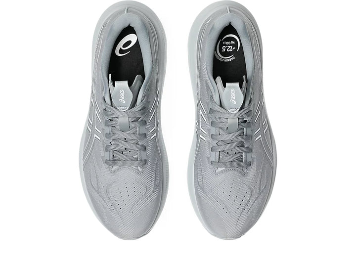Men's ASICS Gt-2000 14 - Gravel/White
