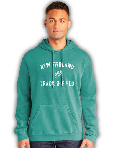 Division 3 Track & Field - Adult Unisex Hooded Sweatshirt (1567)