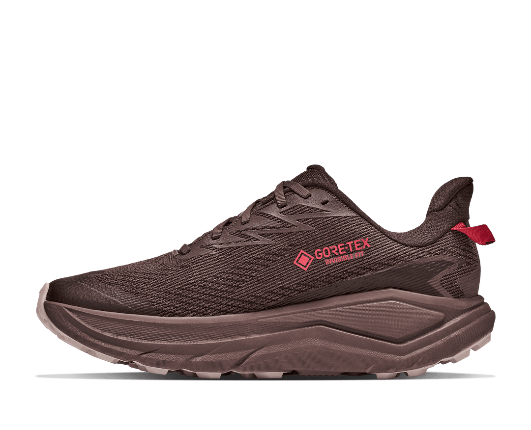 HOKA Men's Challenger 8 GTX - SPICED CHOCOLATE / CAST IRON