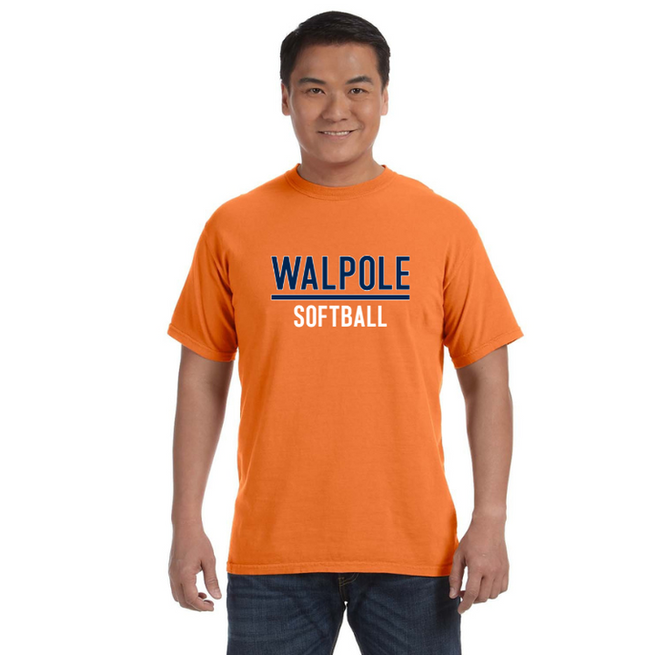 Camiseta unisex de algodón de peso pesado para adultos de Walpole Softball (C1717)