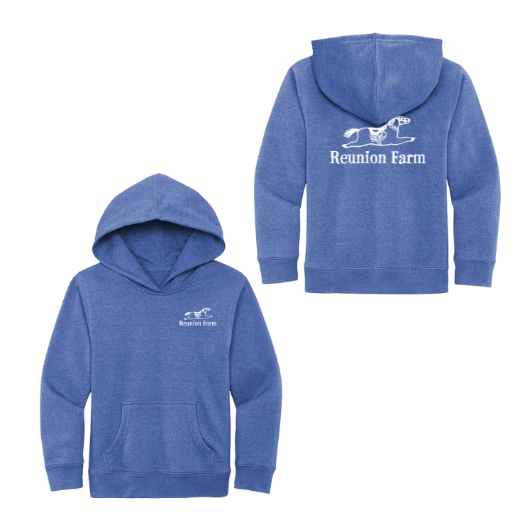 Reunion Farm - Youth Fleece Hoodie (DT6100Y)