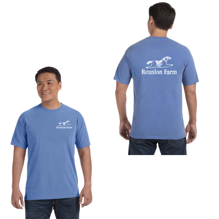 Reunion Farm - Adult Unisex Heavyweight T-Shirt (C1717)