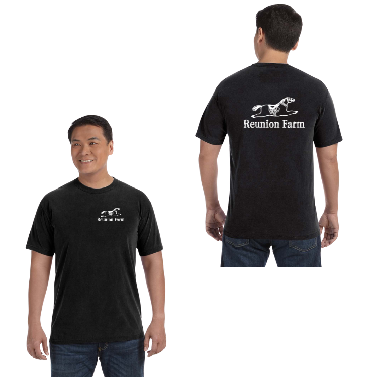 Reunion Farm - Adult Unisex Heavyweight T-Shirt (C1717)