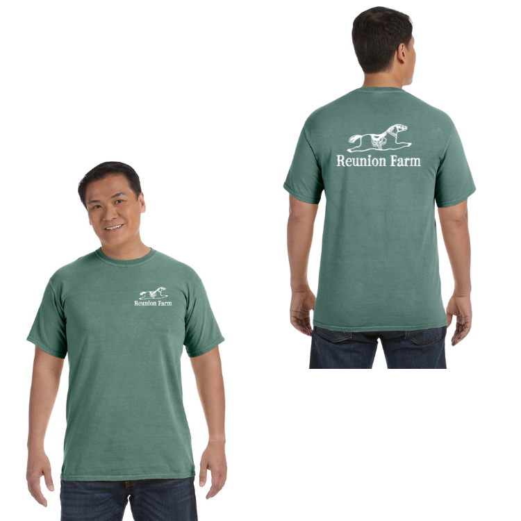 Reunion Farm - Adult Unisex Heavyweight T-Shirt (C1717)