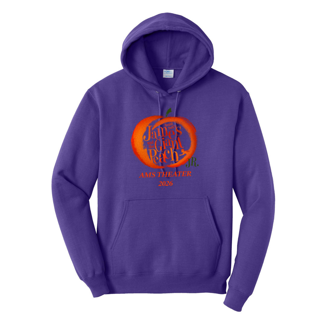 Sudadera con capucha para adultos del drama Foxboro Ahern (PC78H) 