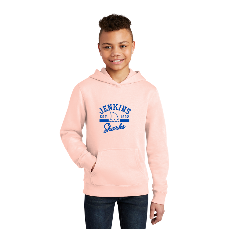 Jenkins Elementary - YOUTH Fleece Hoodie (DT6100Y)