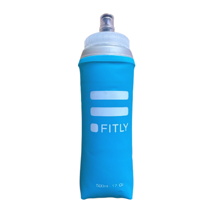 FLASK500