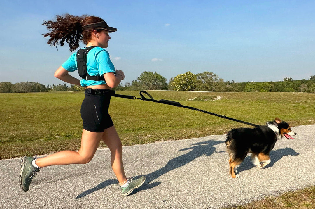 FITLY Running Belt + Dog Leash