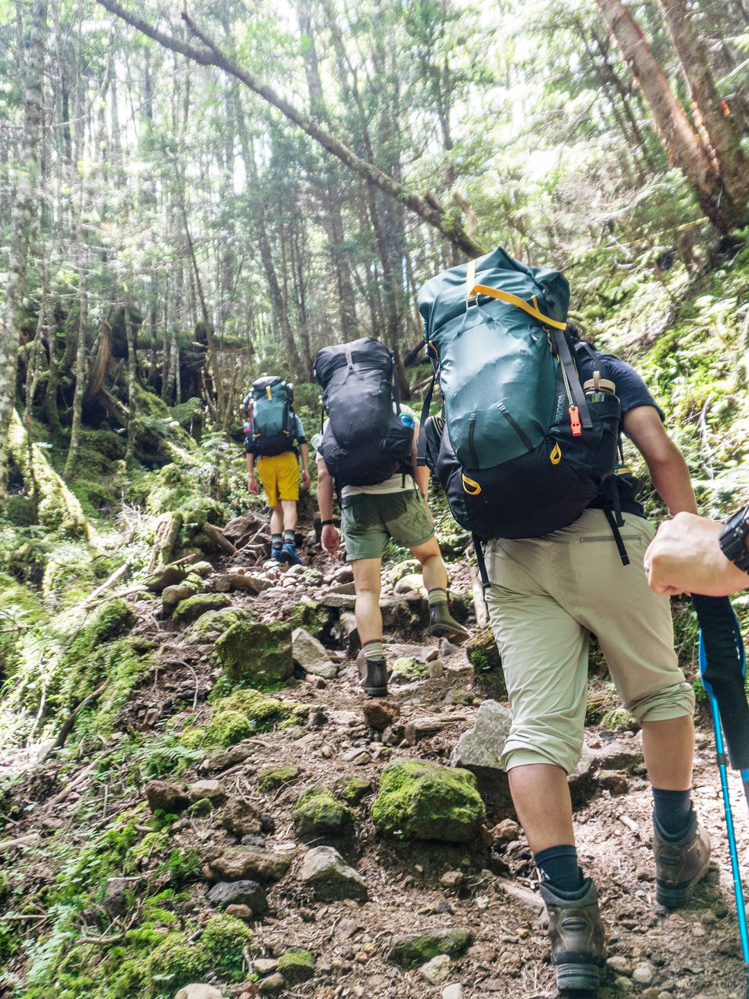 Pingora Outro 40 Backpacking Pack
