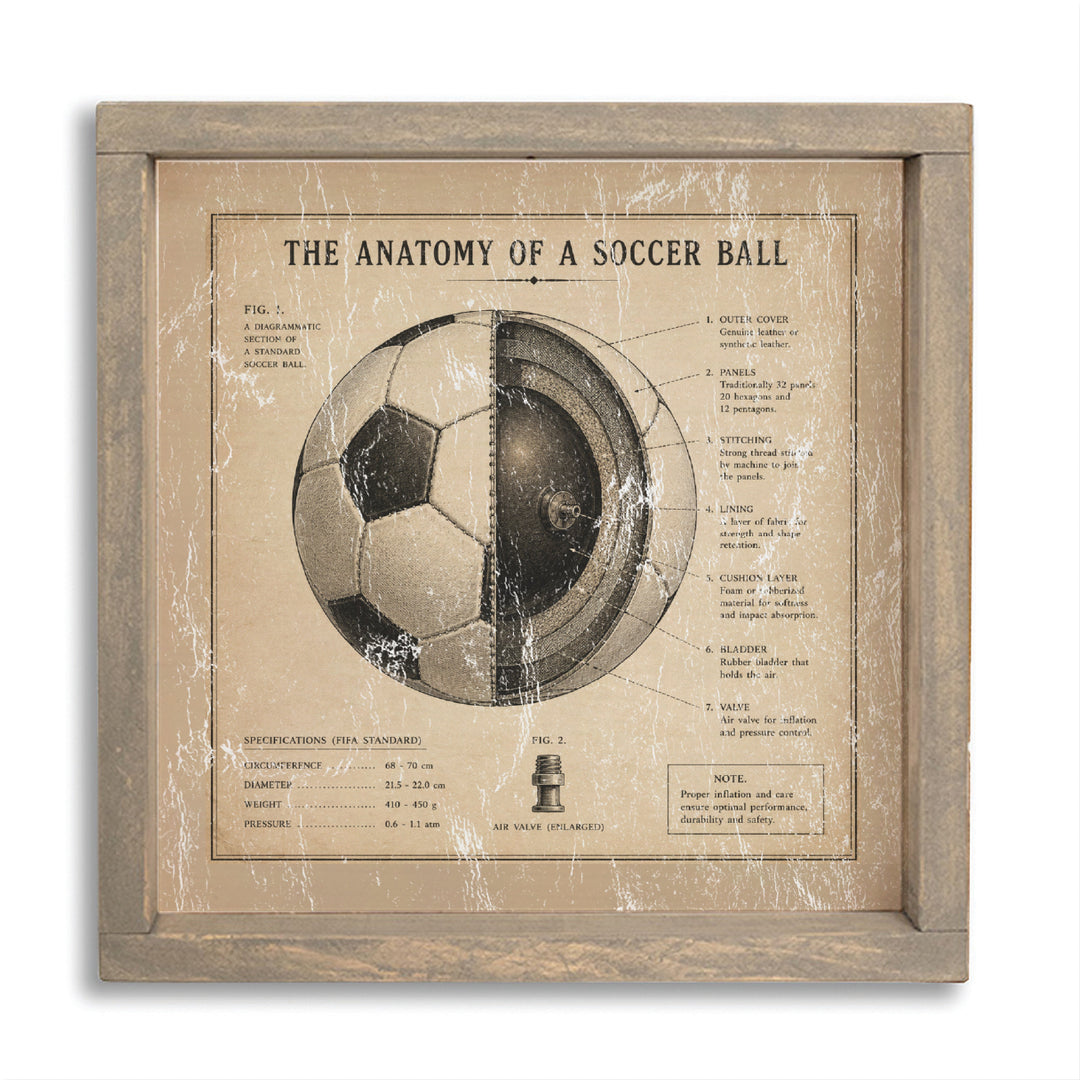 Anatomy Of Soccer Ball Wall Art