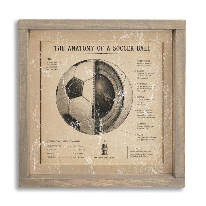 Anatomy Of Soccer Ball Wall Art