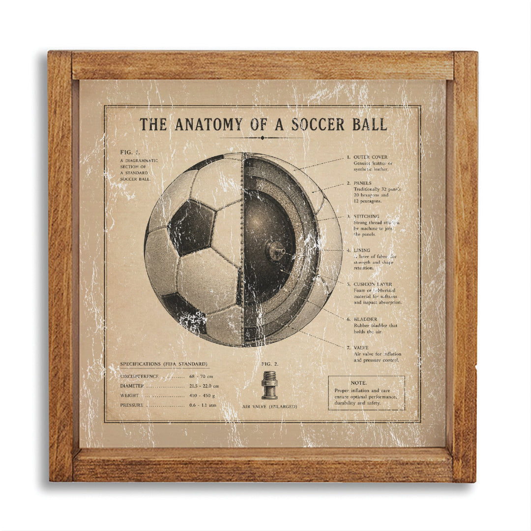 Anatomy Of Soccer Ball Wall Art
