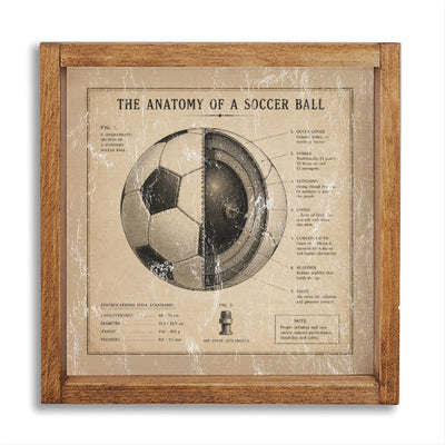 Anatomy Of Soccer Ball Wall Art