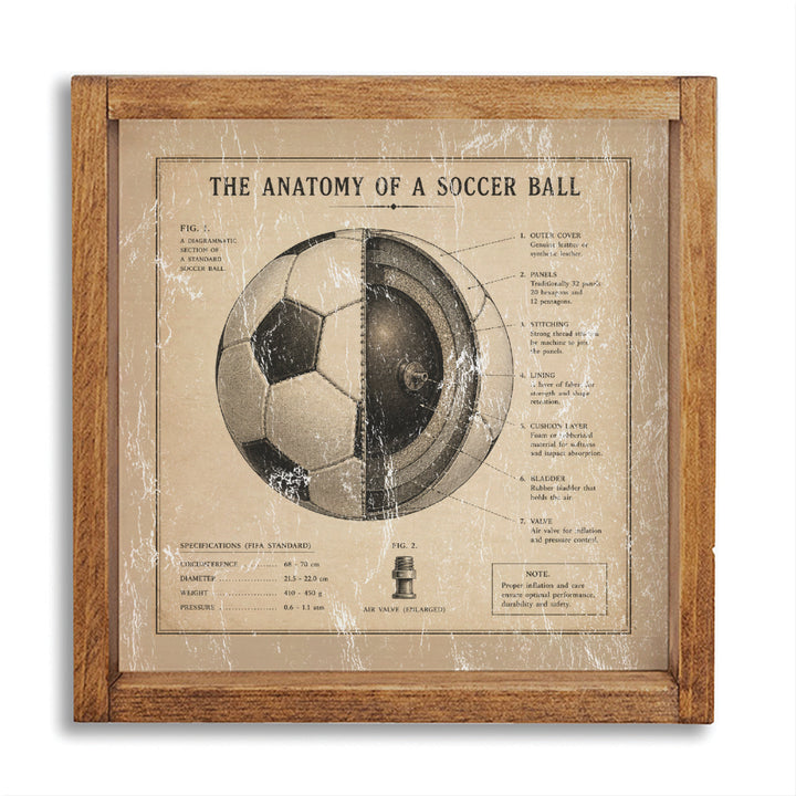 Anatomy Of Soccer Ball Wall Art