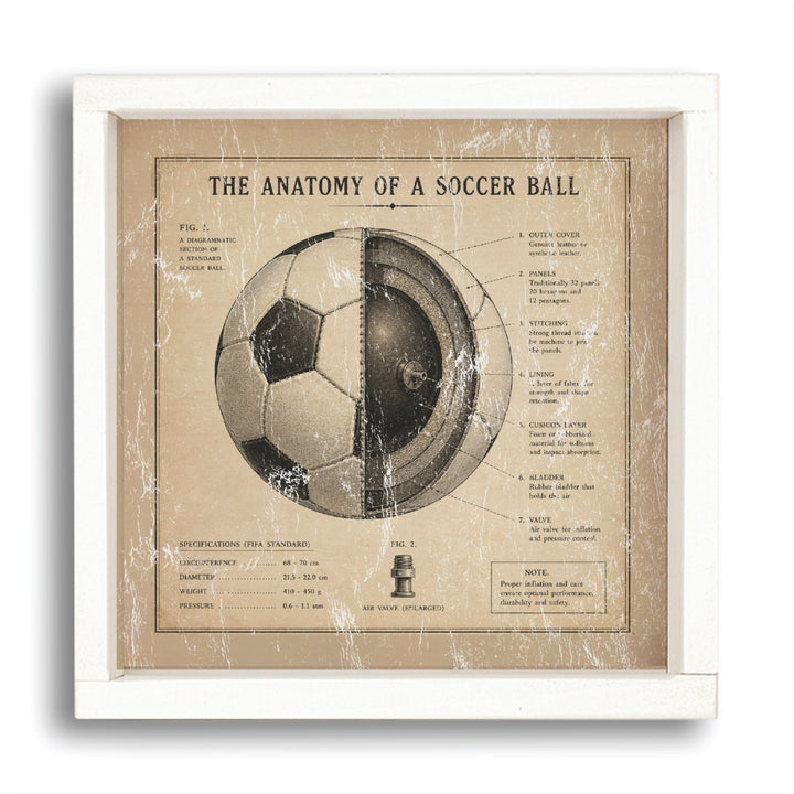 Anatomy Of Soccer Ball Wall Art