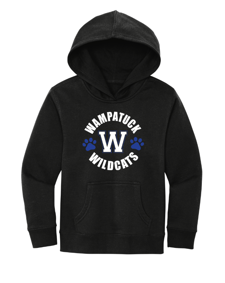 Wampatuck Elementary School - District® YOUTH V.I.T.™ Fleece Hoodie (DT6100Y)