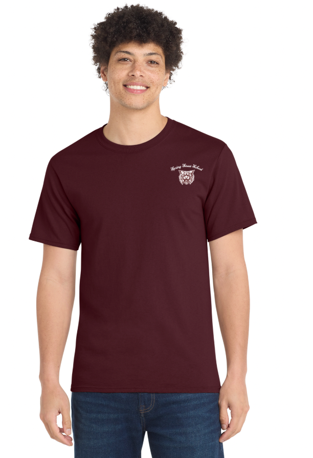 Spring Street School - Mens Essential Tee (PC61)