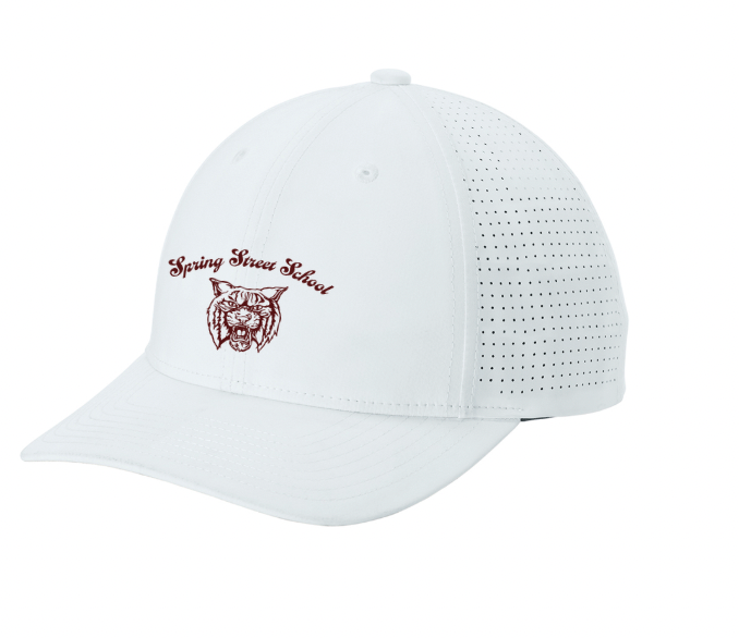 Spring Street School- Pro-Cut Adjustable Cap (STC65)