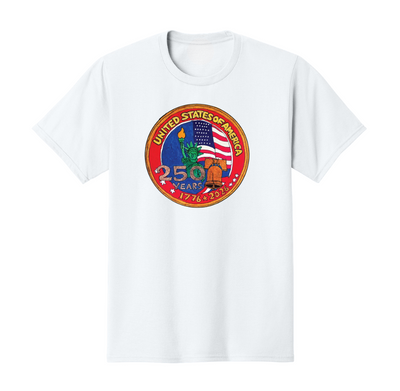 Camiseta de algodón básica para adultos del equipo Ashley de DFMC (PC54)