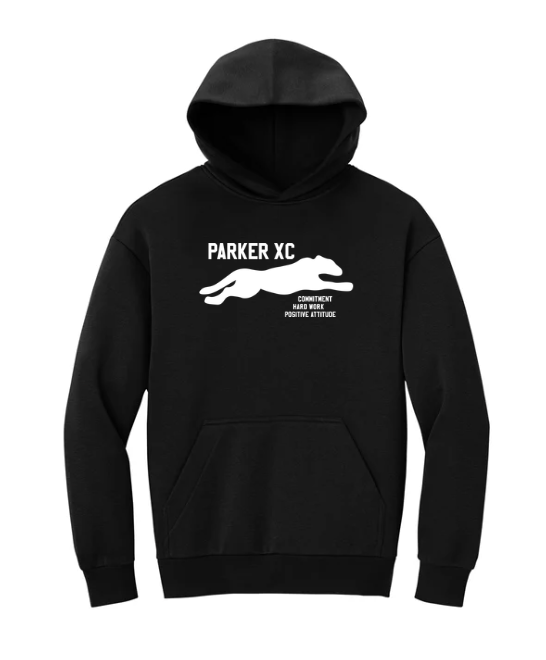 Cape Cod Athletic Club - Sudadera con capucha de forro polar grueso District® VIT™ (DT6150)