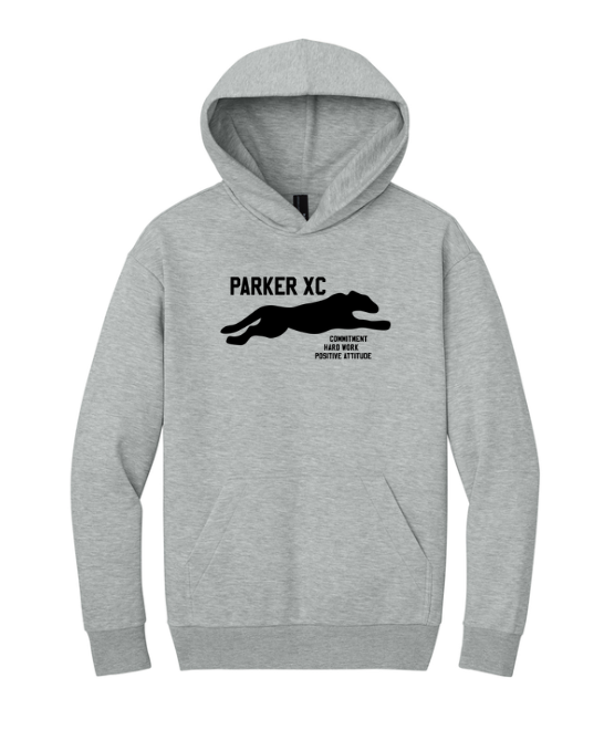 Cape Cod Athletic Club - Sudadera con capucha de forro polar grueso District® VIT™ (DT6150)