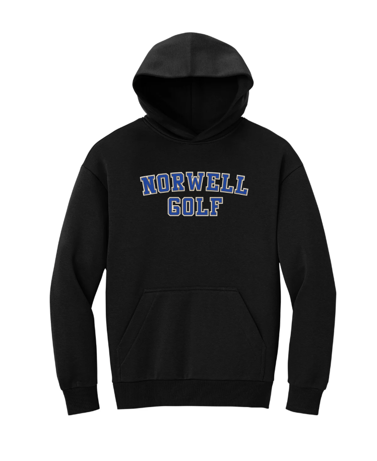 Cape Cod Athletic Club - Sudadera con capucha de forro polar grueso District® VIT™ (DT6150)