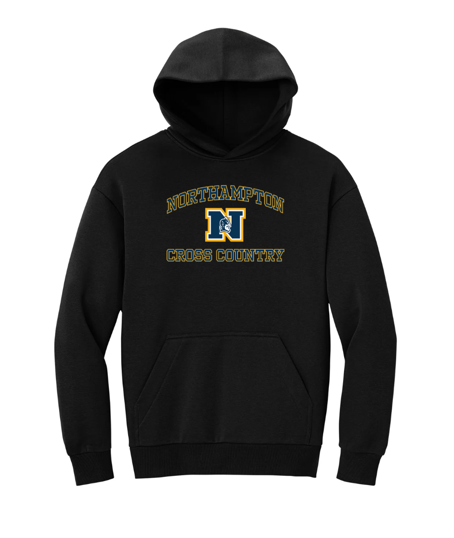 Cape Cod Athletic Club - Sudadera con capucha de forro polar grueso District® VIT™ (DT6150)