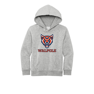 Sudadera con capucha de polar para jóvenes de la escuela primaria Boyden (PC90YH)